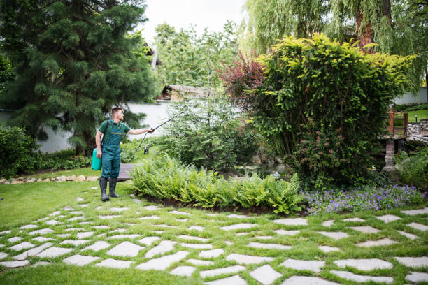Best Wildlife Control Services  in Noank, CT
