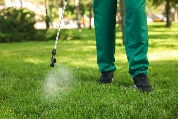 Best Flea Control Services  in Noank, CT