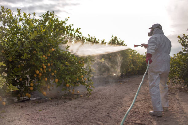 Best Emergency Pest Control  in Noank, CT