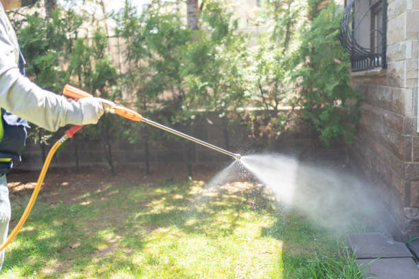 Best Commercial Pest Control Services  in Noank, CT
