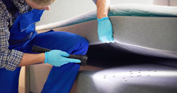 Best Affordable Pest Control Services  in Noank, CT