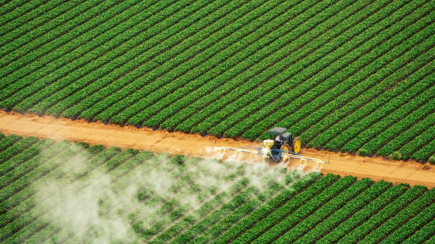Best Termite Control Services  in Noank, CT