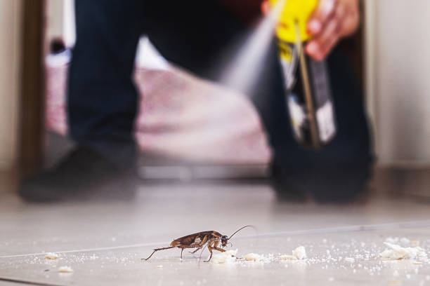 Best Pest Control Near Me  in Noank, CT