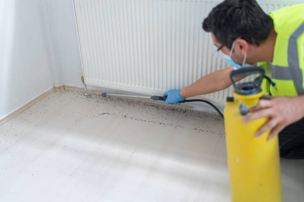 Trusted Noank, CT Pest Control Experts