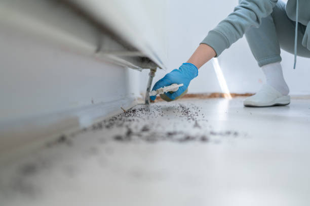 Pest Control for Restaurants in Noank, CT